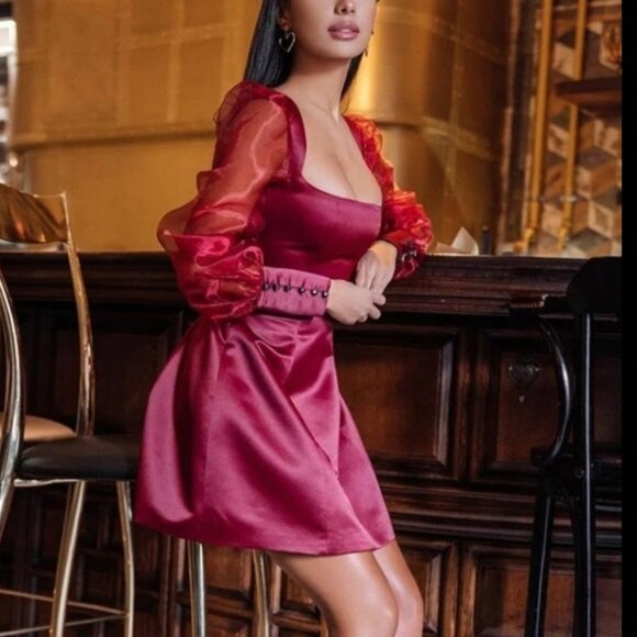 Organza Sleeve Dress - Picture 1 of 5